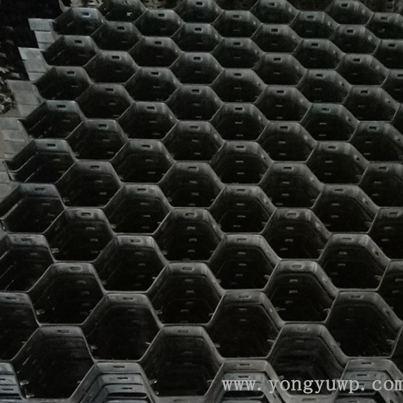 ���׾W(w��ng)�ڹܵ��е�����