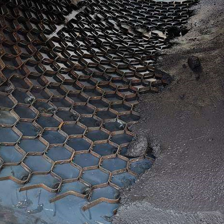 ���׾W�S��